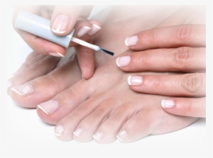 Nails - French Manicure