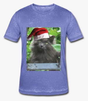 Adorable Russian Blue Cat Wearing A Santa Hat - Long Haired Russian Blue Cat Shower Curtain