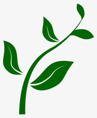 Plantas Desenho Png - Plant Clip Art Png