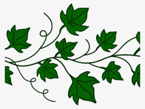 Border Clipart Ivy - Pumpkin Vine Clip Art