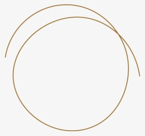 New Arrivals - Brandon Indonesia Mencari Bakat