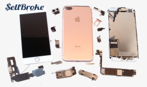 Broken Iphone 7 In Parts
