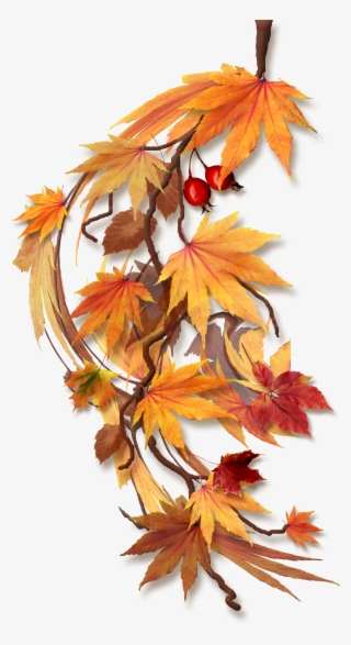 Trouvé Sur Http - Feuilles D Automne Png