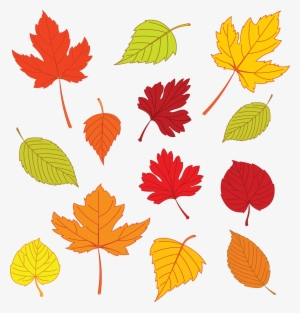 Leaf Drawing Template At Getdrawings - Autumn Leaves Clipart