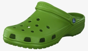 Crocs Men Classic Parrot Green Men-dqoam - Crocs Men Green