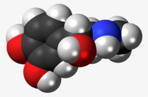 Chuck Norris Network Marketing - Hormona De La Adrenalina