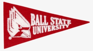 Cover Image For Magnet, Pennant - College Or Career Pennant