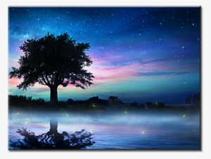 Beautiful Night Sky - 星空 湖泊