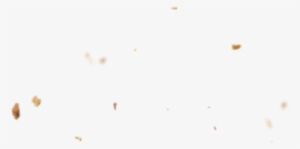 Bread Crumbs Png - Animal