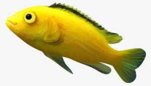 White Fish Clipart Png, Yellow Fish Clipart, Yellow - Cliparts Fishs Colour Png