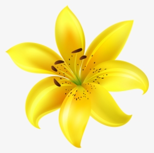 Yellow Flower Png
