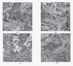 Scanning Electron Morphology Of Blended Concrete Immersion - Transmission Electron Microscopy
