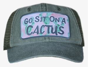 Alternative Views - - Cactus