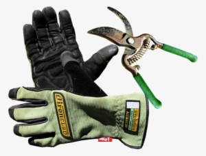 Garden, Gloves, Tool, Work - Tool Garden, Gloves, Tool, Work - Tool