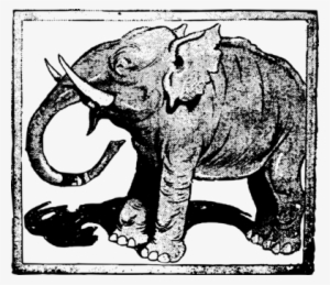 Indian Elephant African Elephant Drawing Computer Icons - Elephant