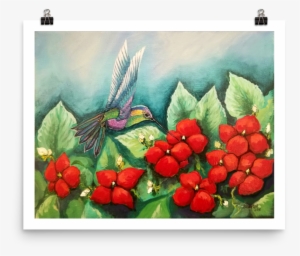 Humming Impatiens, Print On Premium Luster Photo Paper - Touch-me-not