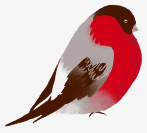 The Bird Png Transparent Vivid Hand Painted Lifelike - Vector Graphics
