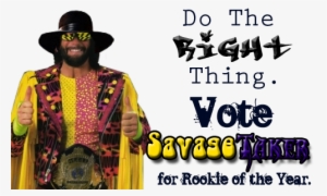 I Can't Remember Who Made It But My Best Guess Would - Macho Man Randy Savage