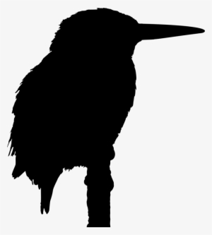 Big Bird Kingfisher Silhouette Drawing - Kingfisher Silhouette