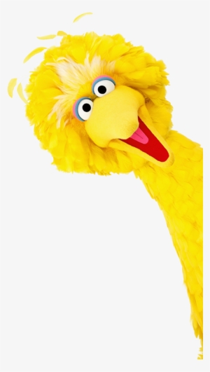 Big Bird Donate