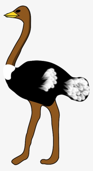 Large, Cartoon, Big, Bird, Stand, Cute, Ostrich, Animal - Ostrich Clipart