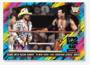 Close Zoom - Survivor Series (1993)