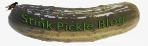 Dill Pickle Pillow Case