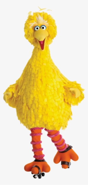Big Bird Png