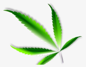 Where To Buy Marijuana In Portland Oregon - Illustration