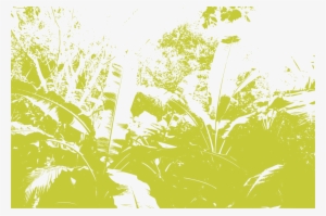 The The Foliage Changes To A Small, One Mile Wide Plain - Illustration