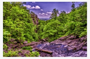 Medium Image