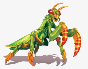 Giant Mantis - Giant Mantis Pathfinder