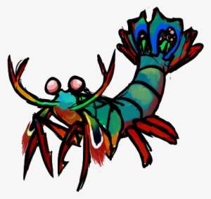 Shrimp Cartoon Desktop Backgrounds The - Mantis Shrimp Transparent