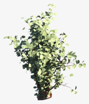 Anterior Siguiente - Shrub