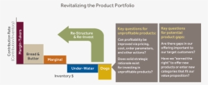 Revitalizing Product Portfolio - Product Portfolioi Structure