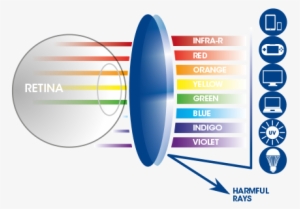 Of Blue Light On Your Eyes - Anti Blue Light Lenses