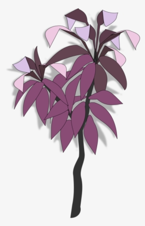 Common Grape Vine Leaf Plants Drawing Branch - Clip Art