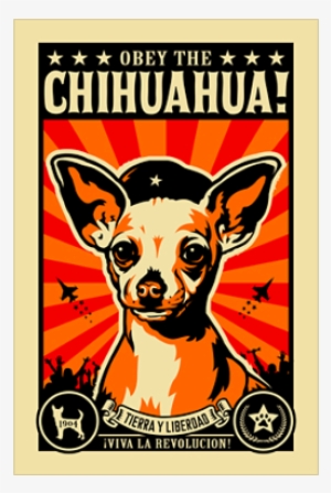 Obey The Chihuahua Rev Poster - Obey The Chihuahua