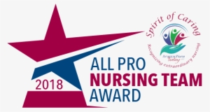 All Pro Nursing Team Award Application - Team Nursing