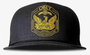 1 Free - Baseball Cap