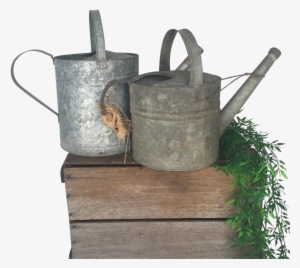 Watering Can Cluster