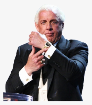 Ric Flair - Shawn Michaels Ric Flair Watch
