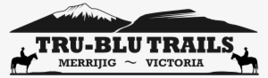 Tru-blu Trails - Cnn Fake Polls News President Race Trump Clinton 2016