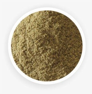 Coriander Powder - Henna