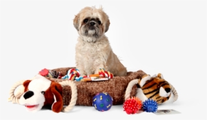 Parent Directory - Pet Supplies