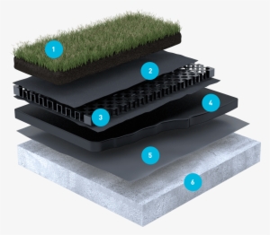 Green Roof System - Grass Roof Systems