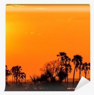 Orange Glow Sunset In A Palm Trees Landscape Wall Mural - Sunset