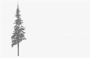 Vector Graphics