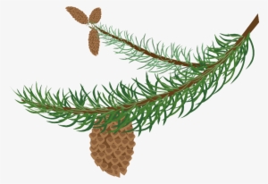 Clip Art Stock Collection Of Branch High Quality Free - Winter Tree Branch Clipart