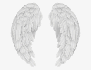Angels In America Wings - Angel Wings Png Transparent